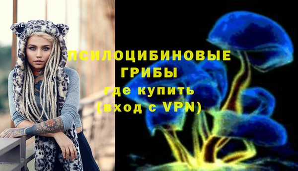 МДПВ Кукмор