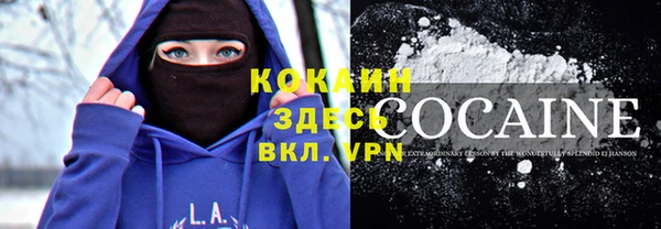 МДПВ Кукмор