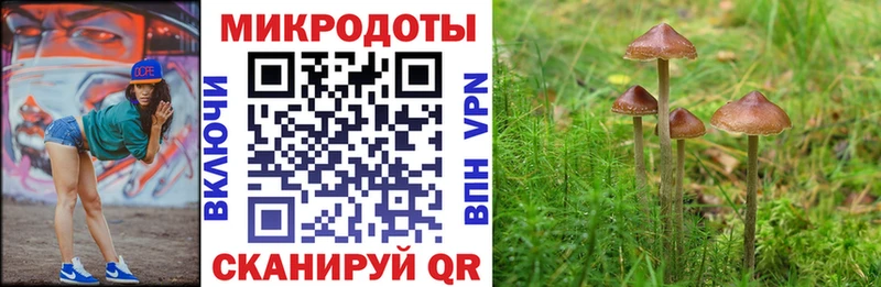 Галлюциногенные грибы Cubensis Торопец